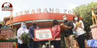 Semarang Zoo Bikin Feeding Virtual, Bertahan lewat Cadangan