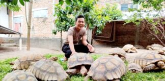 Inspiratif! Berawal Hobi Reptil dan Ternak Kura-kura Sulcata, Briptu Janu Sukses Raup Cuan Belasan Juta Per Bulan