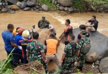 Pencari Rumput di Limpung Batang Tewas Tertimpa Batu Besar di Bantaran Kali Petung