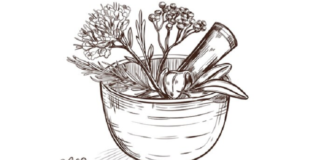 Atasi Batu Ginjal dengan Ramuan Herbal: Alternatif Alami yang Efektif