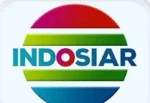 Jadwal Acara INDOSIAR Rabu 1 Januari 2025: Kisah Nyata Sore Spesial Tragedi Asmara Sang Mantan Istri dan Mega Film Asia