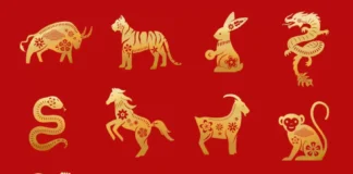 Tiga Shio Paling Beruntung pada 6 Februari 2025: Rezeki Berlimpah dan Karier Gemilang