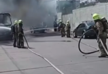 Meksiko Membara: Bos Kartel “El Mencho” Tewas, Kelayakan Tuan Rumah Piala Dunia 2026 Dipertanyakan