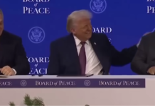 Tarif 0 Persen untuk 99% Produk AS Masuk RI, Pemerintah Pastikan Tak Ganggu UMKM