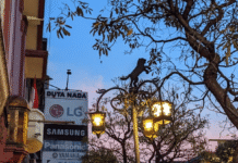 Bandung Kian Bersinar sebagai Destinasi MICE Unggulan di Indonesia