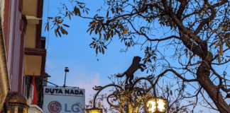 Bandung Kian Bersinar sebagai Destinasi MICE Unggulan di Indonesia