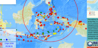 Gempa M7,4 Guncang Lepas Ternate, Peringatan Tsunami Sempat Dikeluarkan dan Dicabut