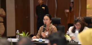 Wali Kota Agustina Usulkan Pembagian Kewenangan Jelas dalam RUU Kawasan Industri