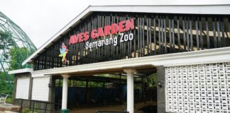 Pemkot Semarang Pastikan Penanganan Kematian Harimau Benggala Putih koleksi Semarang Zoo Telah Dilaksanakan Sesuai Prosedur