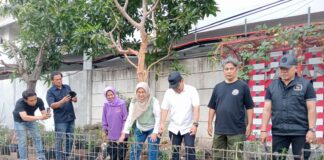 Tanam Ratusan Bibit Cabai di Taman DheDhe, Warga RT 04 RW II Wonodri Wujudkan Program Walikota Agustina Wilujeng untuk Urban Farming