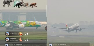 2.458 Penerbangan Terdampak Kabut Asap Karhutla, Ini Daerah yang Diwaspadai