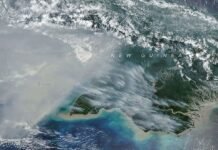 Karhutla Papua Lepaskan Lebih dari 35 Juta Ton Karbon, NASA Ungkap Temuan Mengejutkan