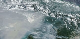 Karhutla Papua Lepaskan Lebih dari 35 Juta Ton Karbon, NASA Ungkap Temuan Mengejutkan