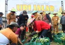 Wali Kota Semarang Agustina Wilujeng Dorong Urban Farming di Lahan Terbatas