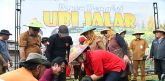 Wali Kota Semarang Agustina Wilujeng Dorong Urban Farming di Lahan Terbatas